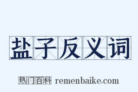 盐子反义词是什么意思的图片